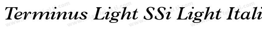 Terminus Light SSi Light Italic字体转换